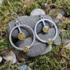 Handmade Silver-Plated Earrings with Real Dried Pressed Lichen Silver clasps - Image 3